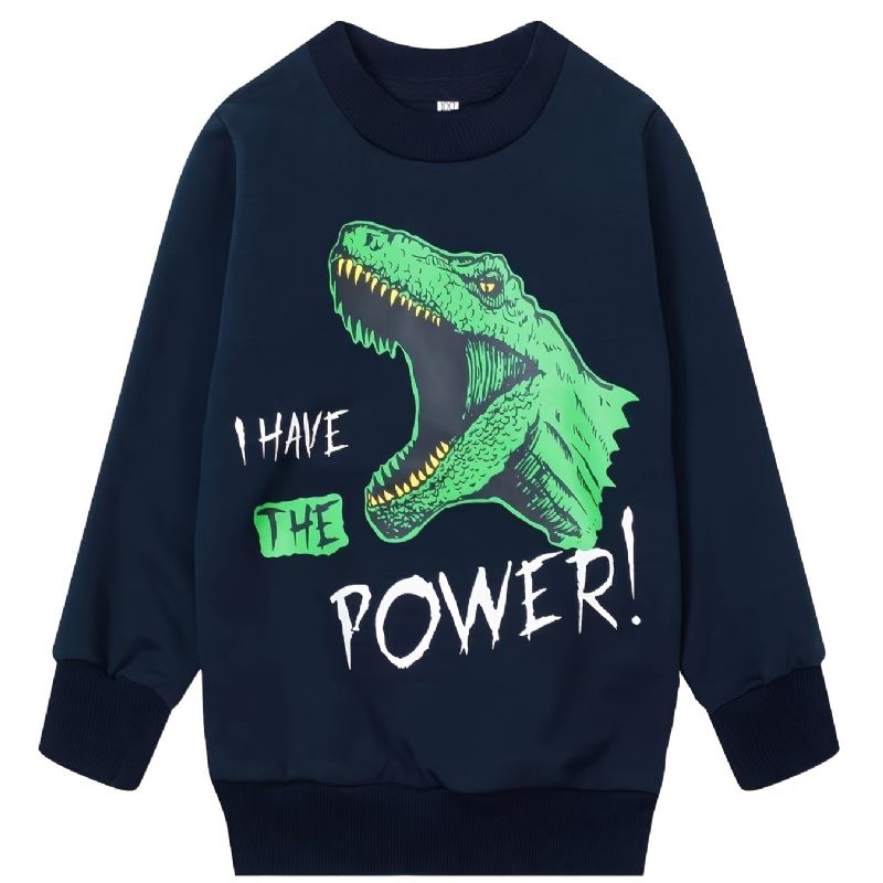 Chlapecká Mikina S Kulatým Výstřihem A Dlouhým Rukávem I Have The Power Dinosaur