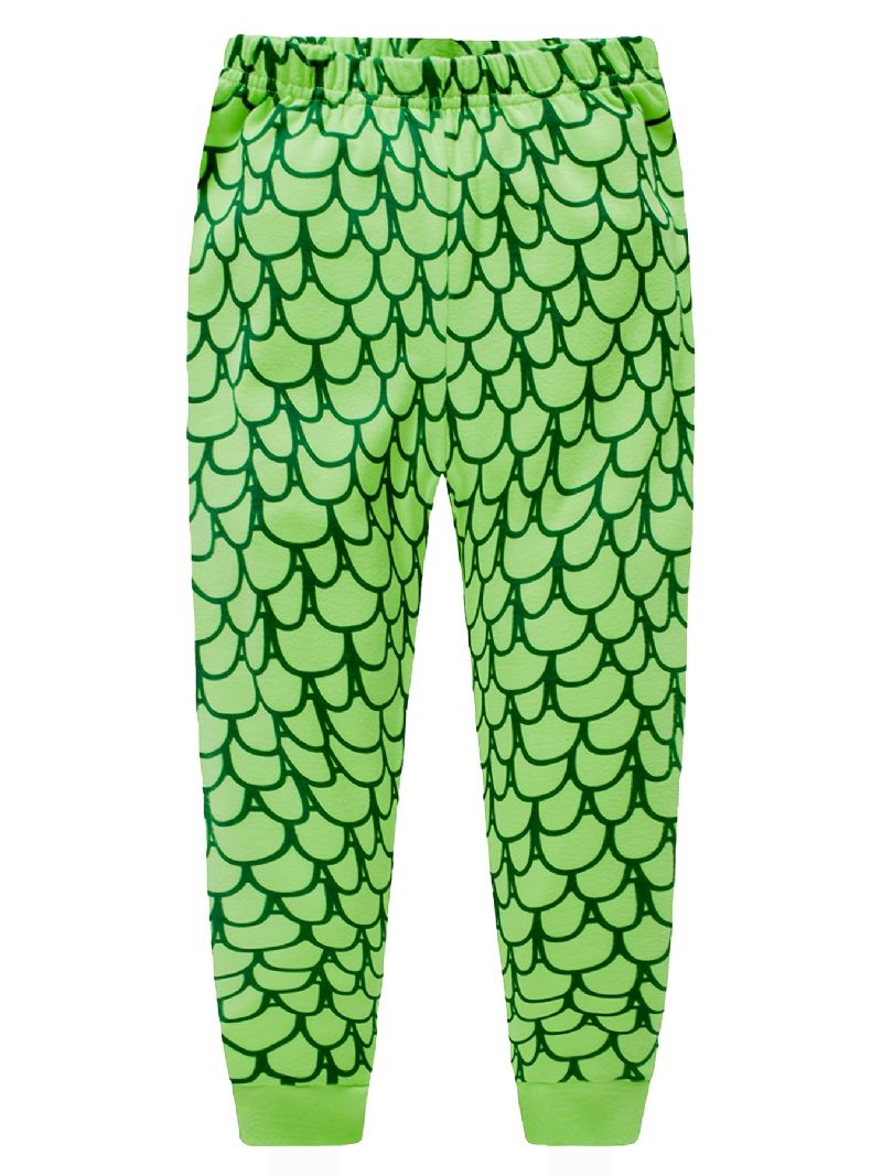 2ks Chlapci Cartoon Dinosaur Print Pyžamo Set Roztomilý Casual Thermal Crew Neck Dlouhý Rukáv Topy A Kalhoty Na Zimu