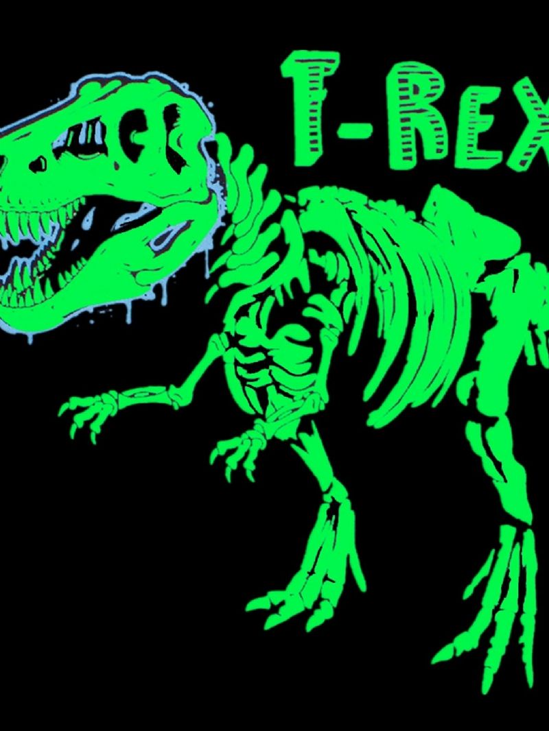 Popshion 2ks Halloweenský Fluorescenční Kreslený Pyžamový Kostým Dinosaurus S Dlouhým Rukávem
