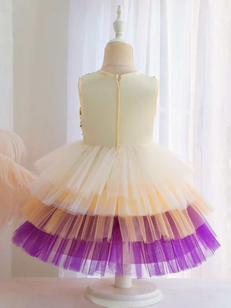 Dívčí Tutu Síťovaná Sukně Bez Rukávů Dětské Oblečení Společenské Šaty Princeznovské