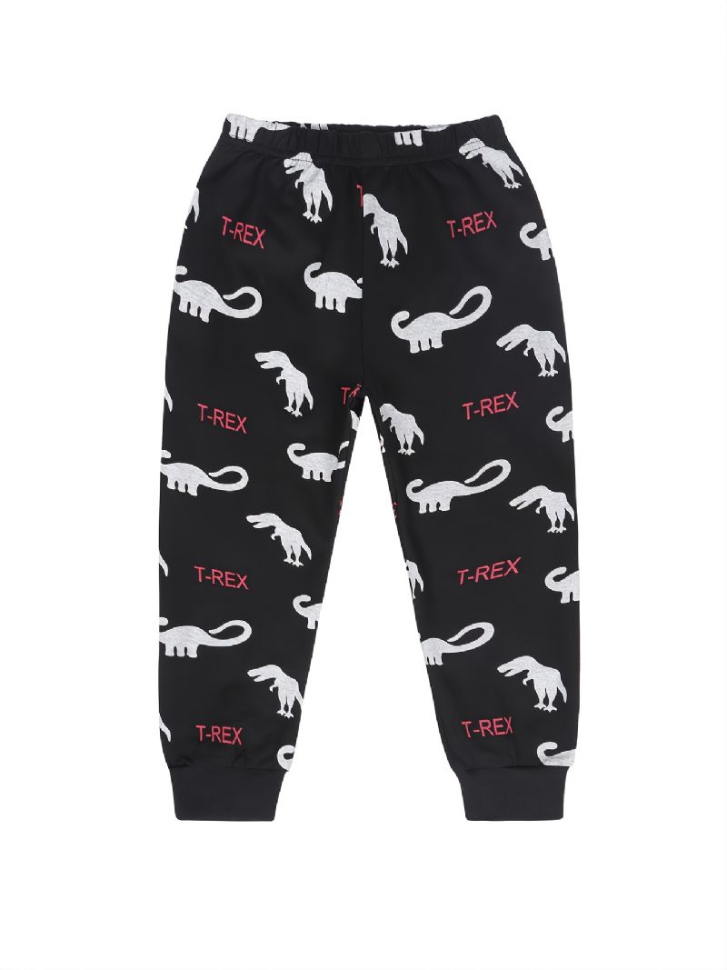 2ks Děti Chlapci Pyžama Cartoon Dinosaur Print Set Top & Kalhoty S Kulatým Výstřihem A Dlouhým Rukávem