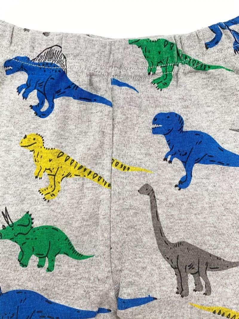 2ks Sada Chlapeckých Roztomilých Pyžama S Kresleným Potiskem Dinosaurů Topy A Kalhoty S Dlouhým Rukávem Na Zimu