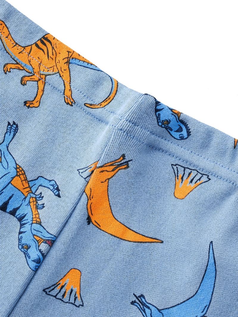 Chlapci Lounge Wear Homewear Tričko S Dlouhým Rukávem A Sladěná Sada Kalhot S Potiskem Dinosaura